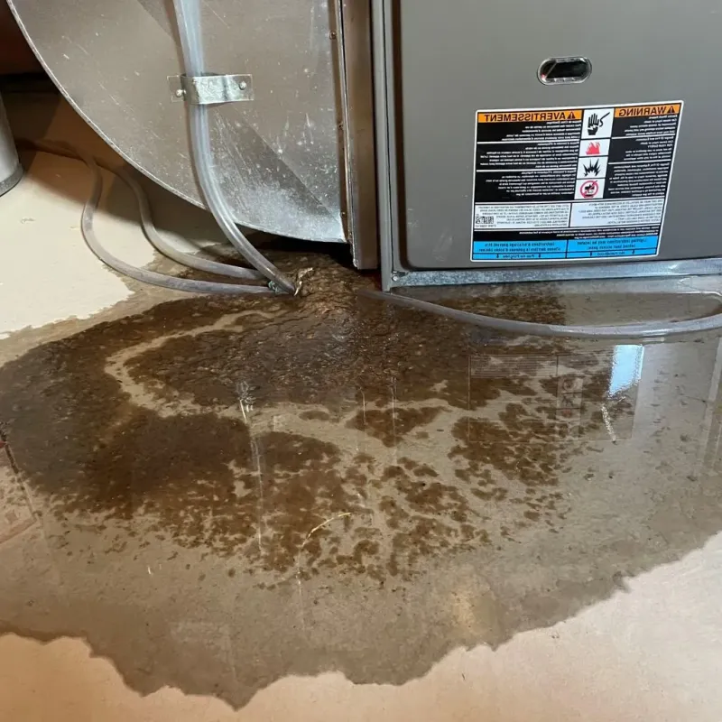 Pipe Burst and Leak Restoration in Mertzon, TX