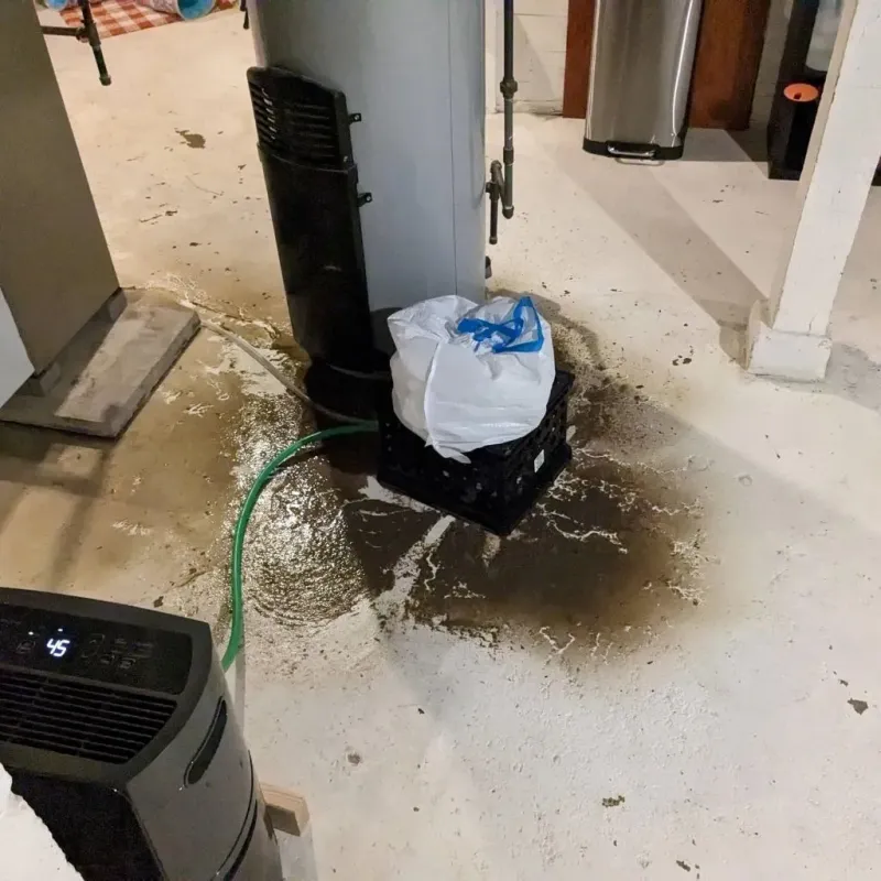 Sewage Backup Cleanup Service in Mertzon, TX